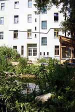 Viel Grün und sogar ein Teich: Garten der Wönnichstraße 103 im Berliner Stadtteil Lichtenberg.